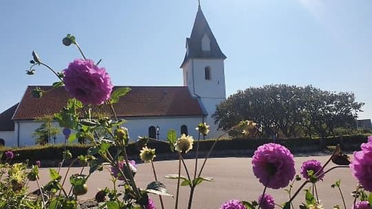 Eftermiddagsmusik i Vikens kyrka